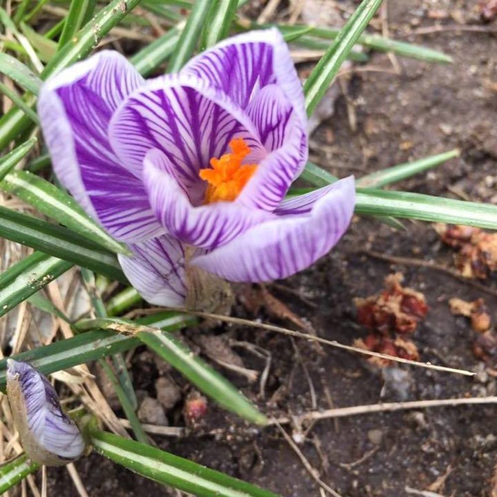 Meet your Posher, Oksana